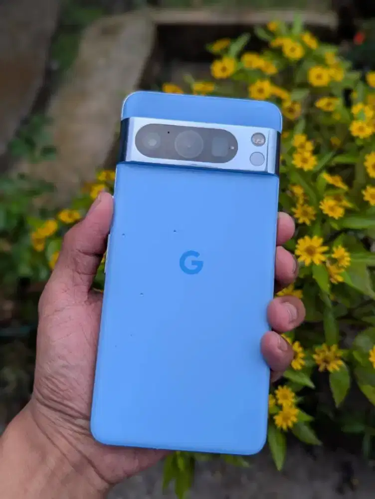 Google Pixel 8 Pro (BAY)