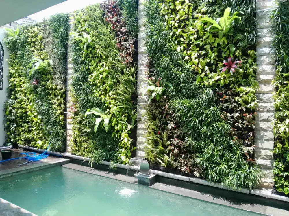 Vertical garden / Tanaman dinding / Dekorasi rumah / harga permeter