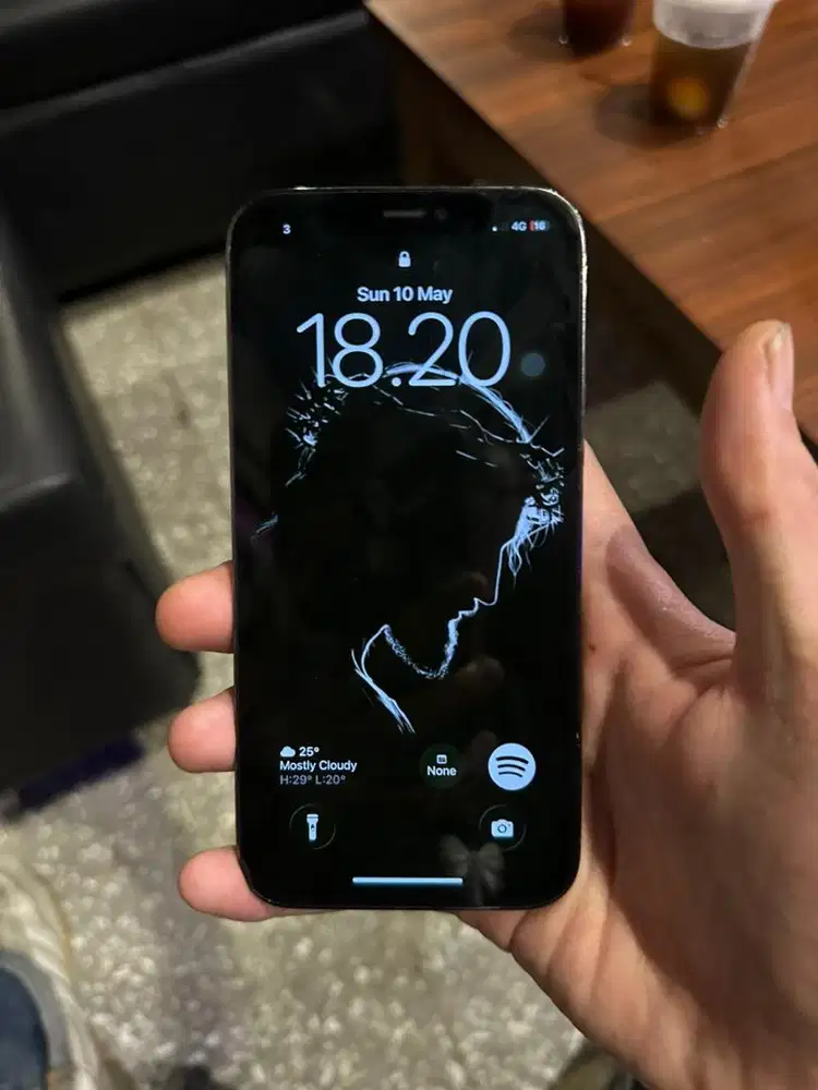 Iphone 12 Pro Inter (256gb)