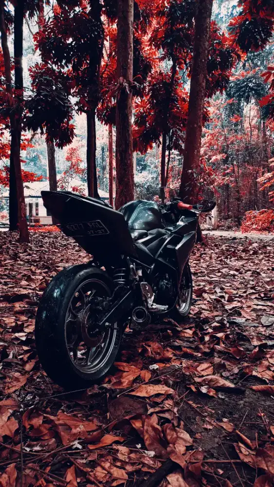 Yamaha R25 2016
