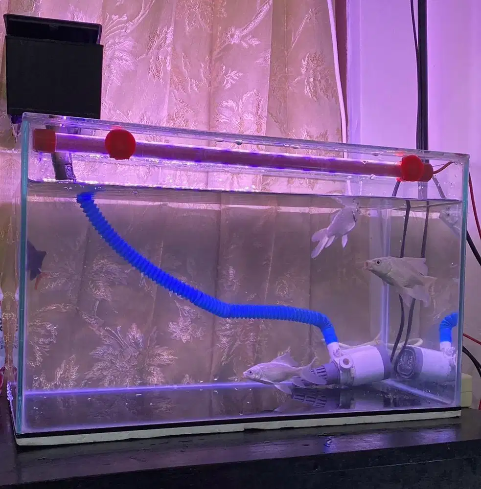 Aquarium 1 Set (Tidak termasuk ikan)
