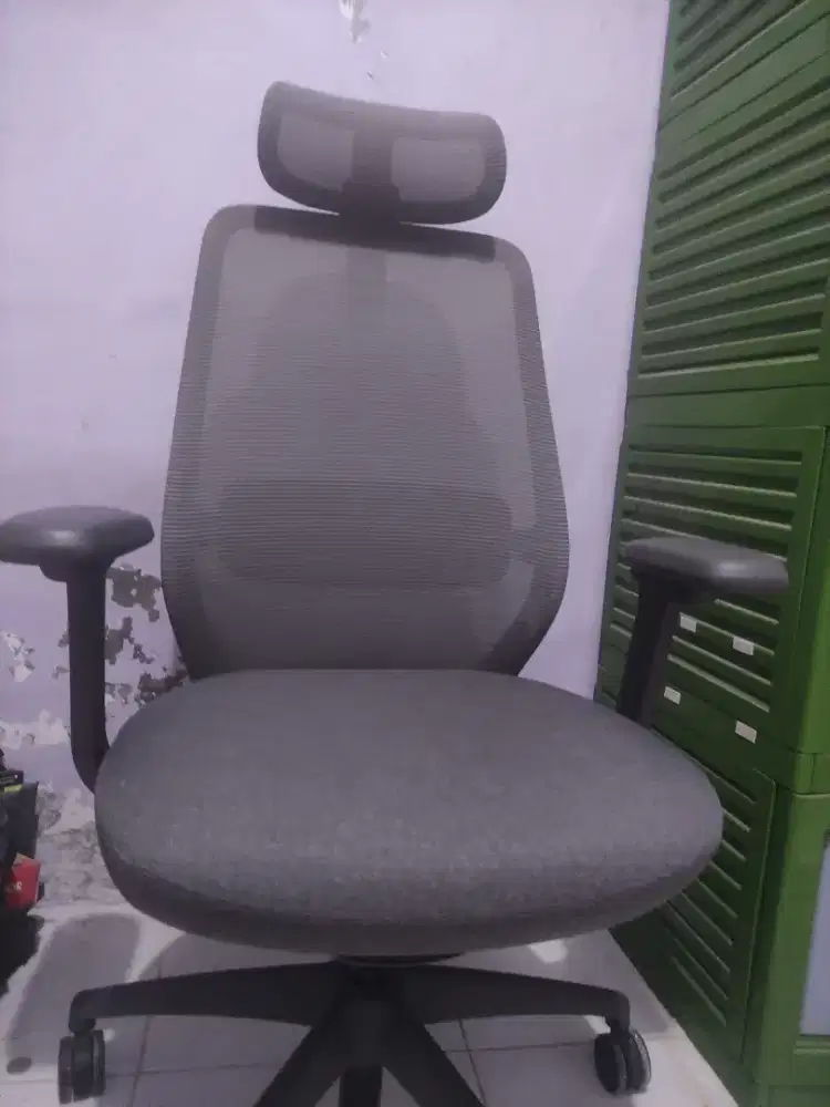 PEXIO Ergonomic Chair Milson