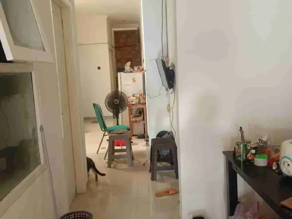 Kost Aktif Bunga Bunga Full Penghuni