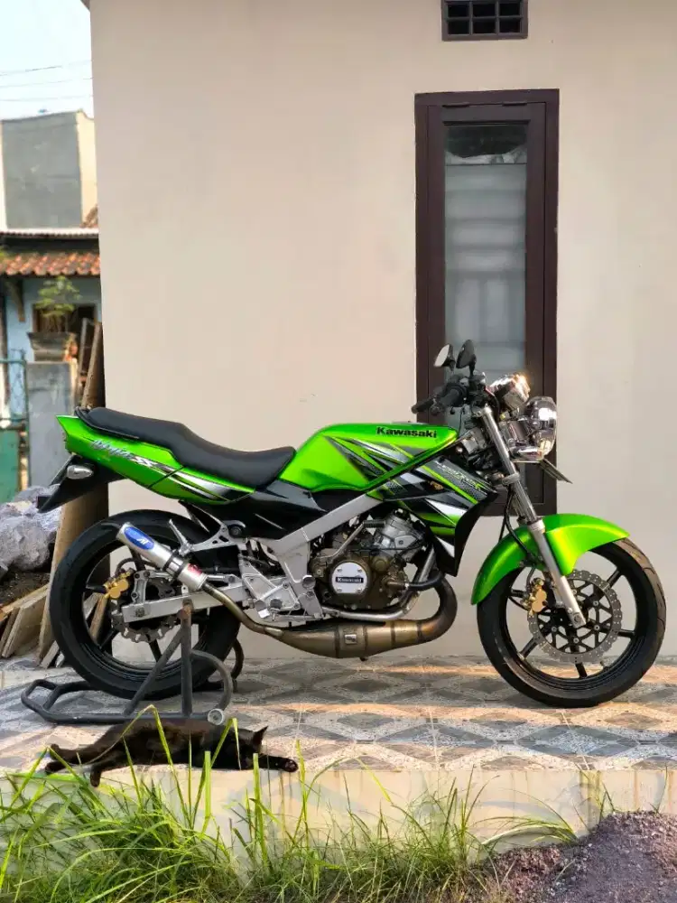 Ninja ss asli hijau
