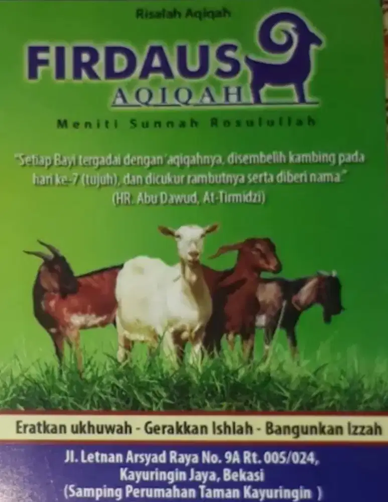 Melayani aqiqah