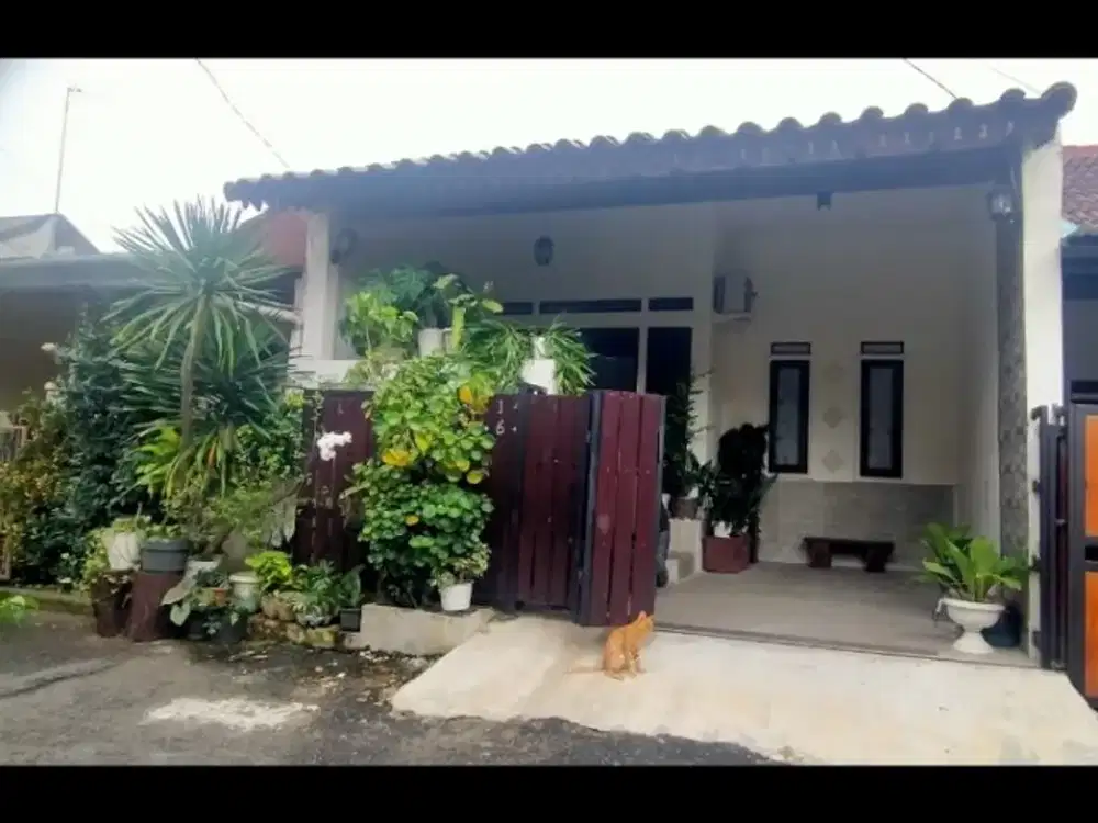 Rumah Huni Baru Renov, Bukit Mekar Wangi Kota Bogor