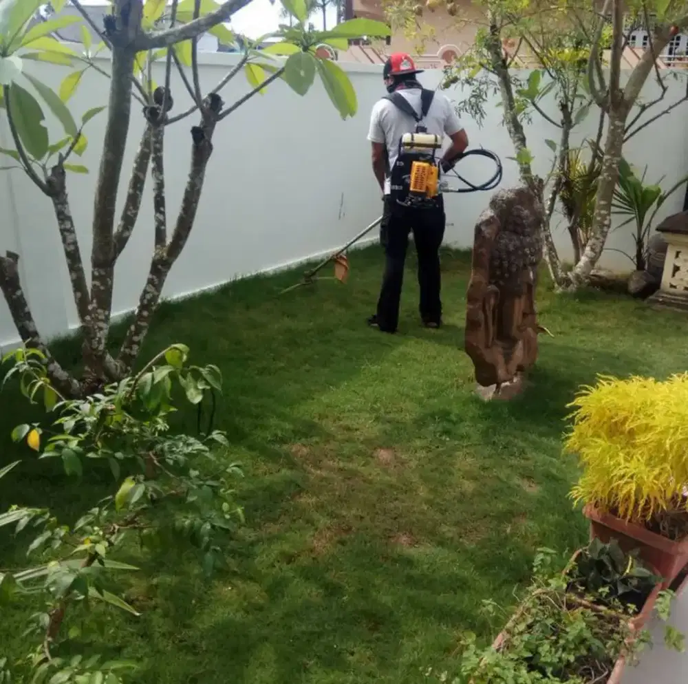 Jasa Potong Rumput dan perawatan Tanaman