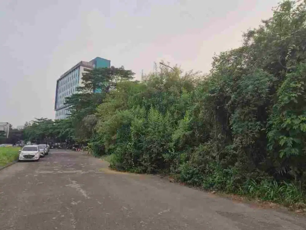 Di Jual Cepat Tanah Strategis Di Alam Sutera