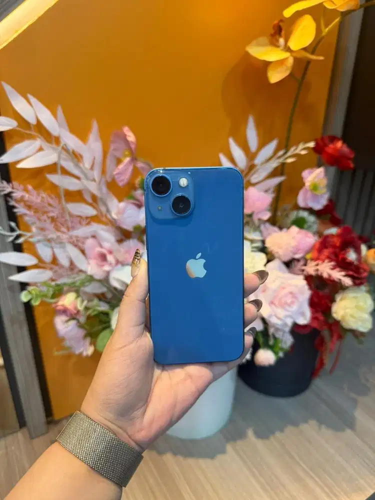 Ip 13 mini 128 blue inter