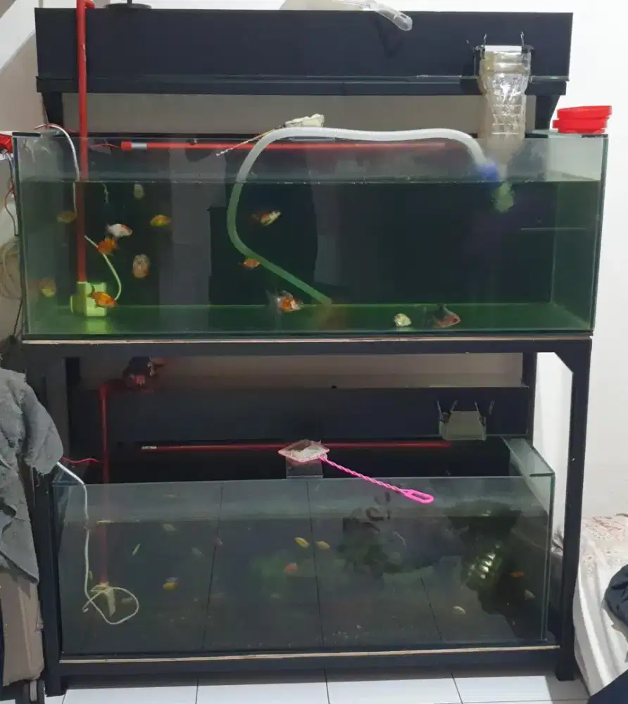 Jual Aquarium 1 Set