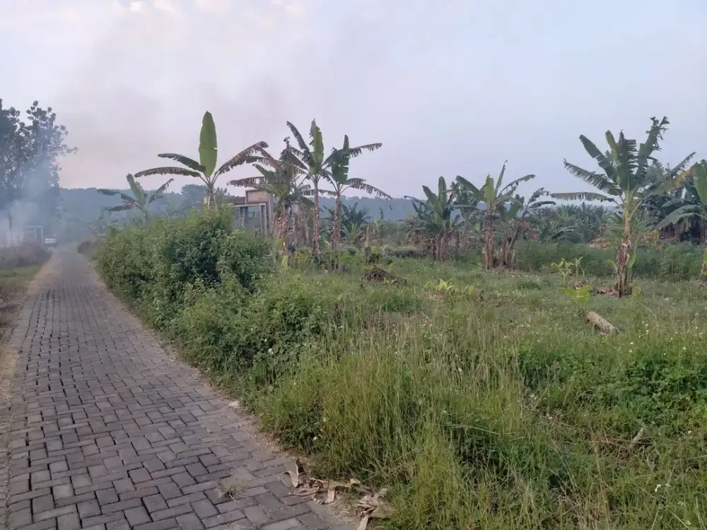 Dijual Cepat Tanah Kavling Tambangan Semarang Siap Bangun