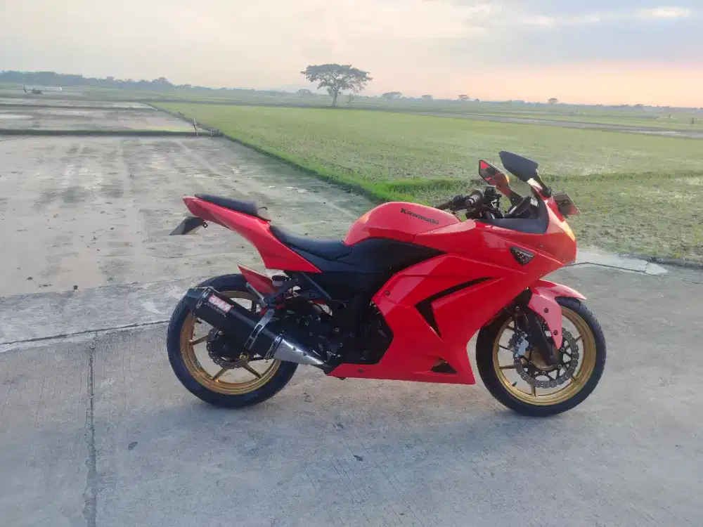 Kawazaki ninja 250 karbu 2010