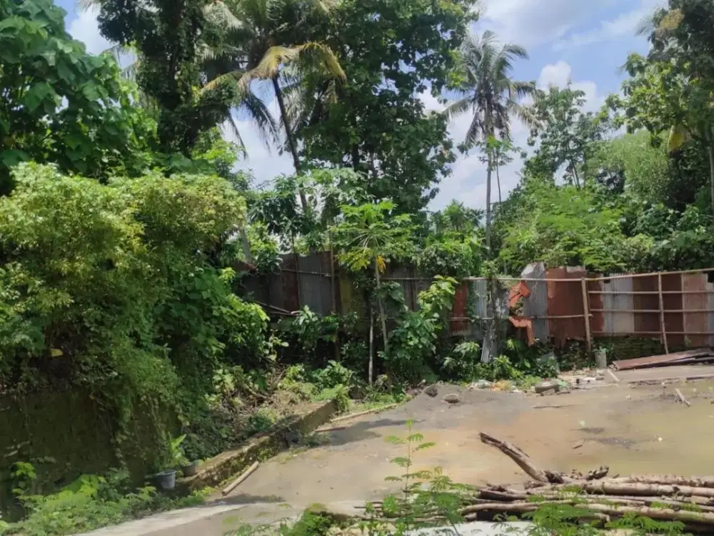Tanah Luas SHM di Bantul Potensi Usaha & Gudang