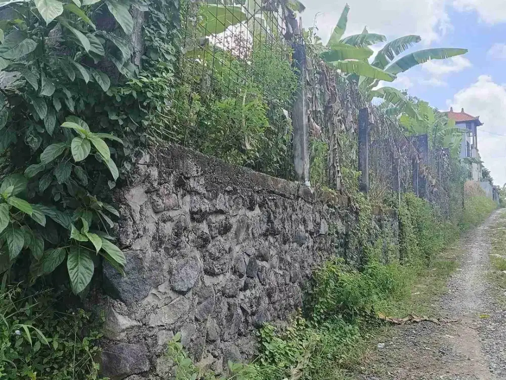 Di jual tanah luas 250 M2 lokasi strategis tempat wisata air terjun kemenuh Gianyar