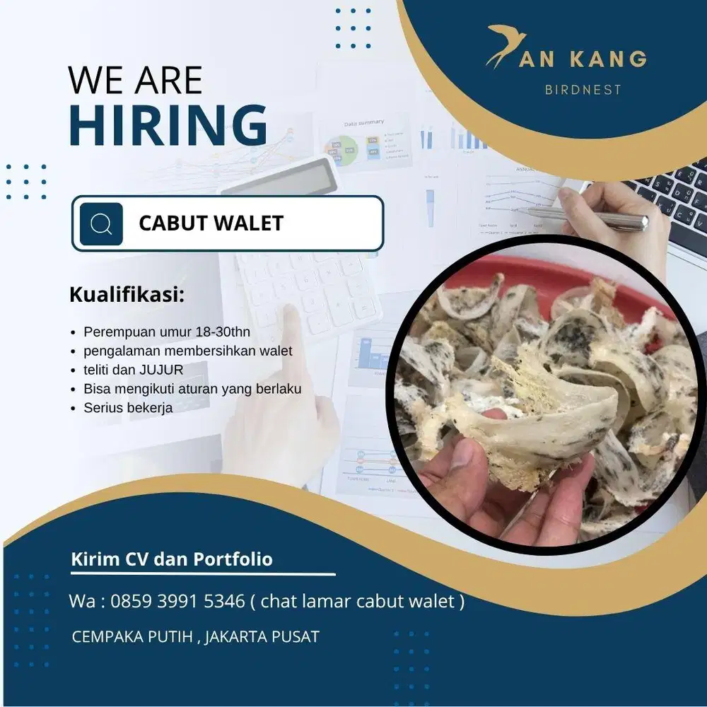 Lowongan cabut walet