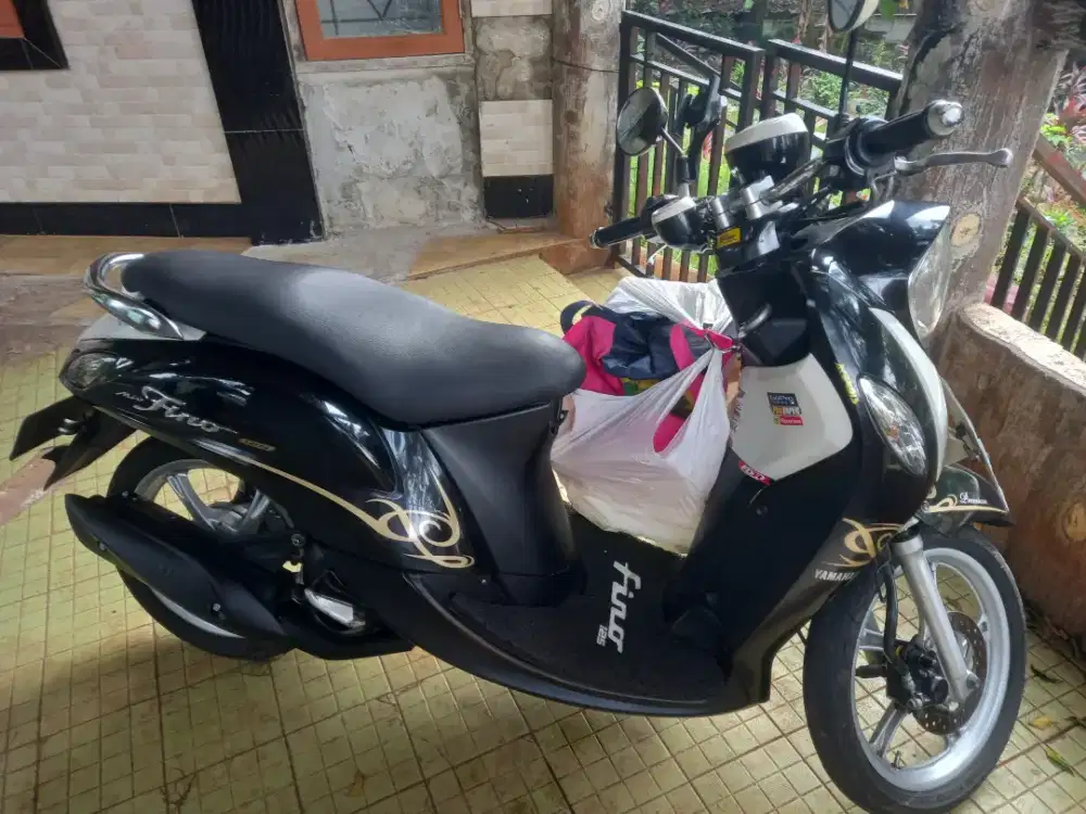 Fino bodi mulus