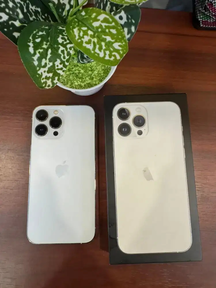 iPhone 13 Pro Max 256GB Silver Ex iBox BH 91% Lengkap