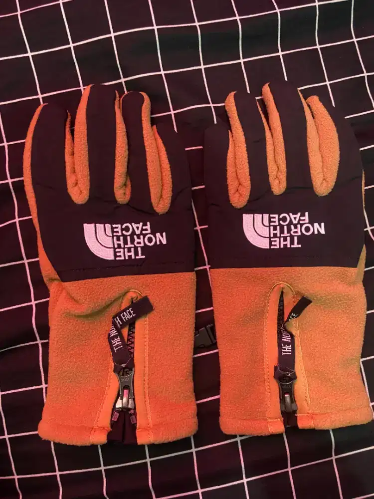 The North Face Unisex Denali Etip Glove