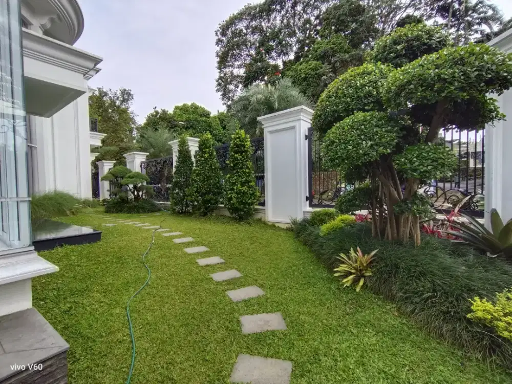 Tukang taman murah