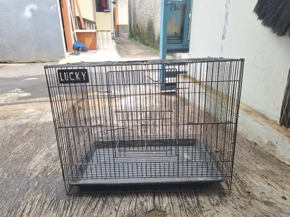 Kandang besi kotak, burung, anak ayam, entok, bebek, kucing