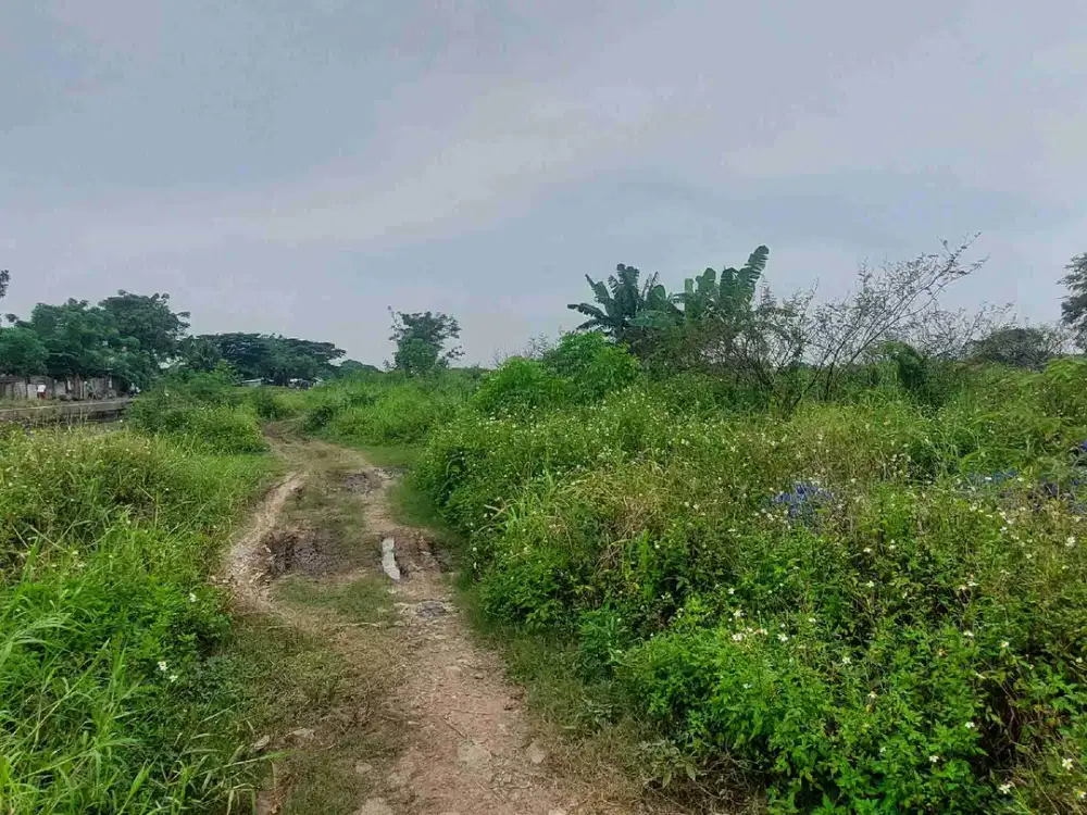Di Jual Cepat Tanah Komersial Di Karawang Barat