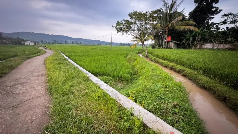 DIJUAL SAWAH MURAH PINGGIR JALAN