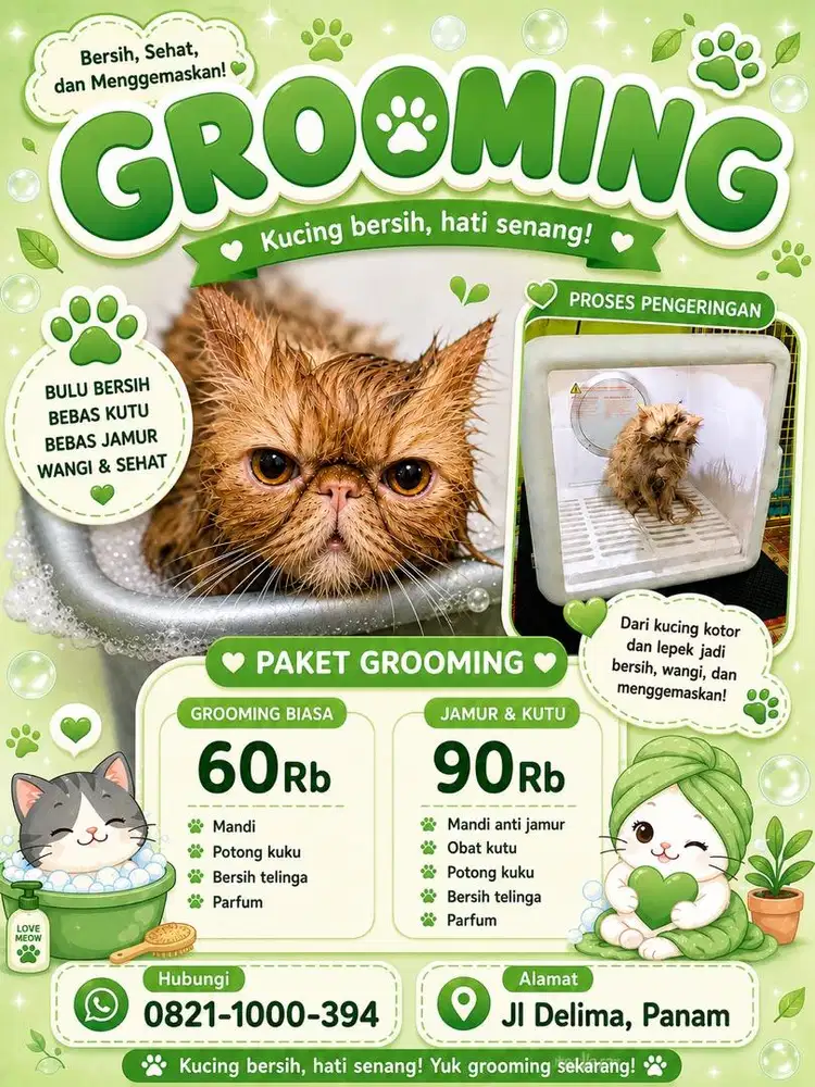 Jasa Grooming Kucing - Panam