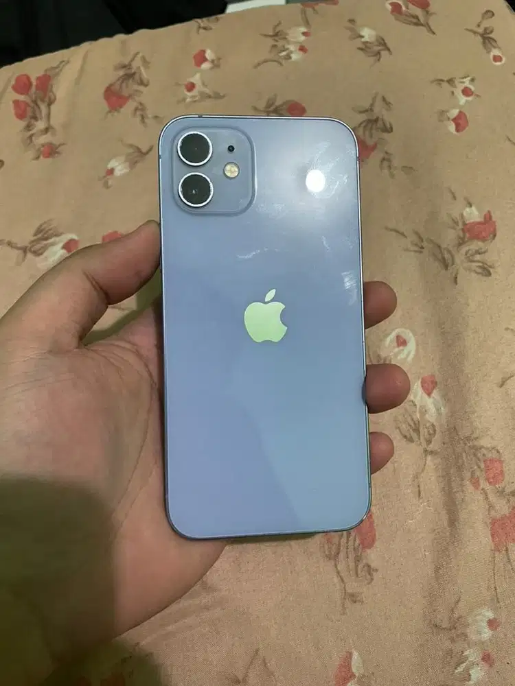 iPhone 12 128 Purple All Operator