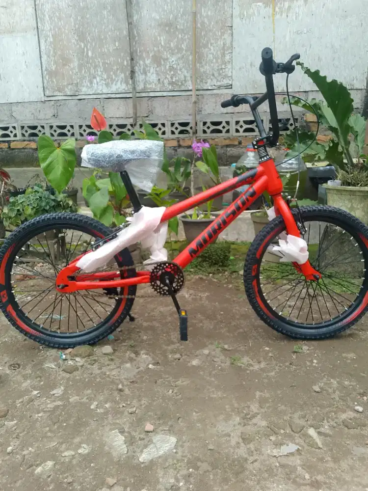BMX morison new 20