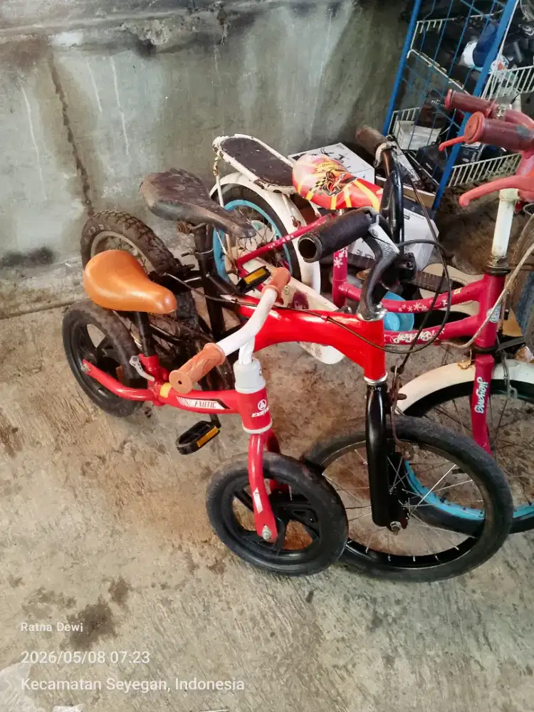 Balance bike exotic