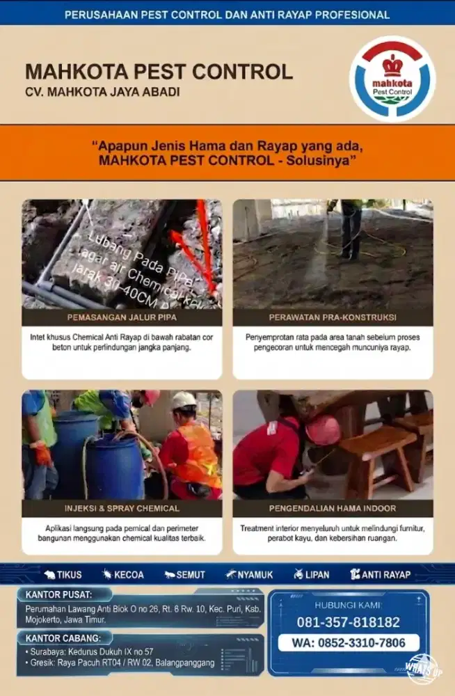 Taman anda bermasalah dengan rayap panggil kami untuk atasi Rayap