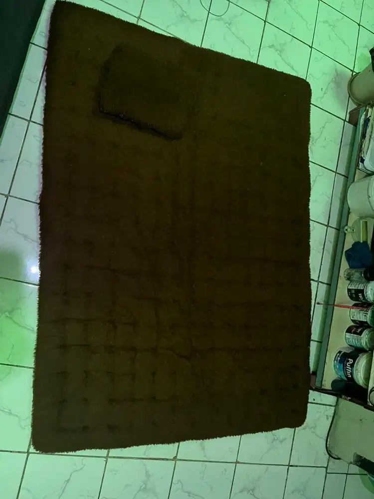 karpet bulu +bantal
