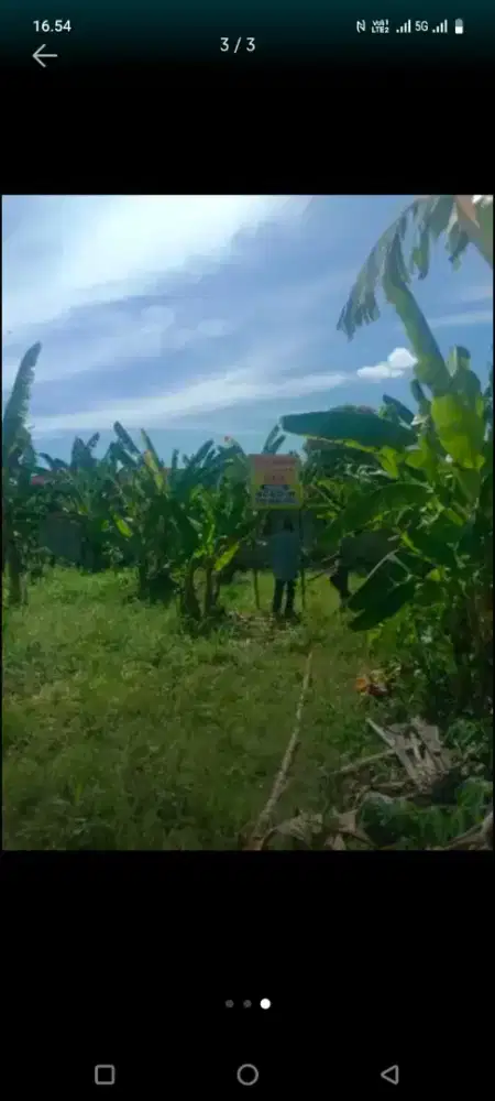 Di Jual Tanah Kavling