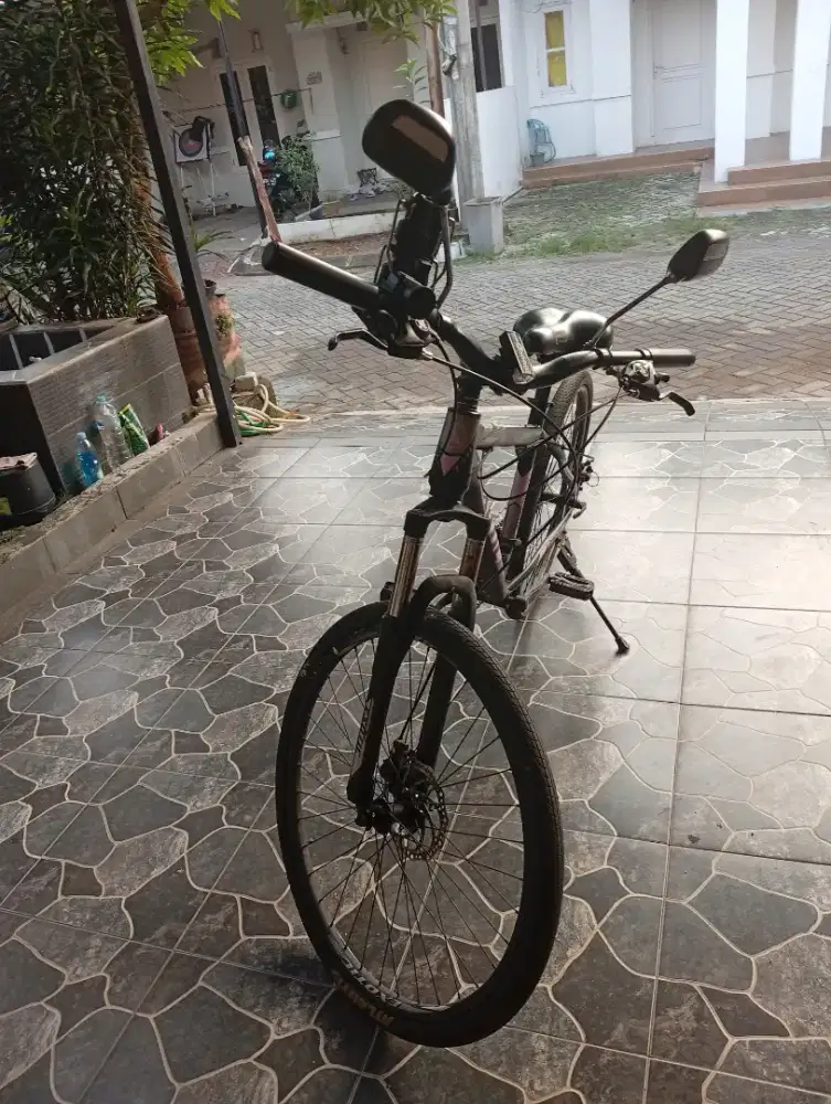 Exotic et 2651 ef