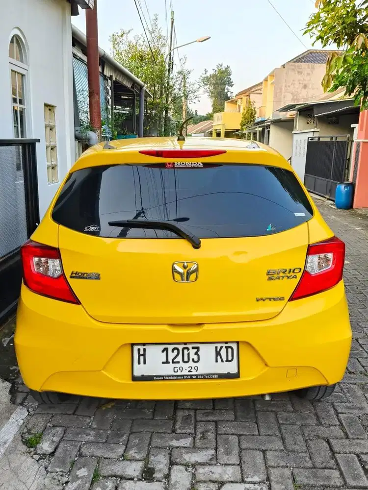 BRIO E MANUAL 2019