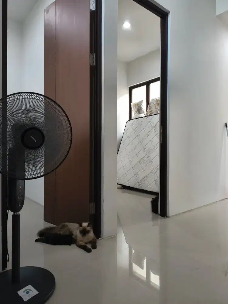 ART & Jaga Kucing