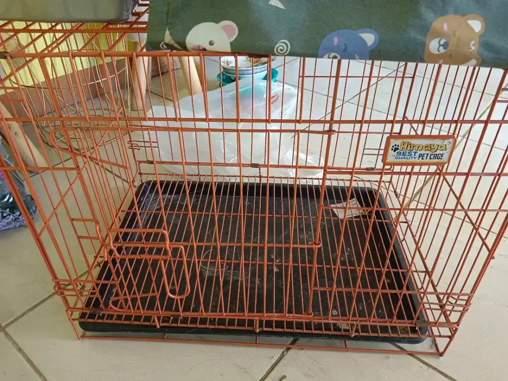 Kandang kucing ukuran 60x40x50