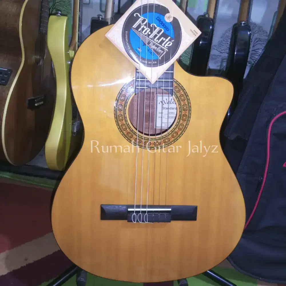 Walden N350CE original mulus,like new