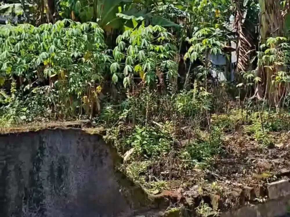 Dijual Tanah Pekarangan di Nogosari Madurejo Prambanan