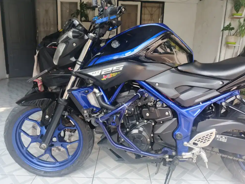 Yamaha MT 25 2018