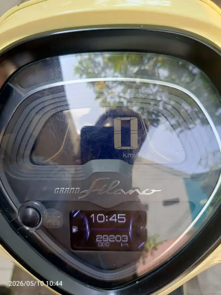 Fillano neo 2024