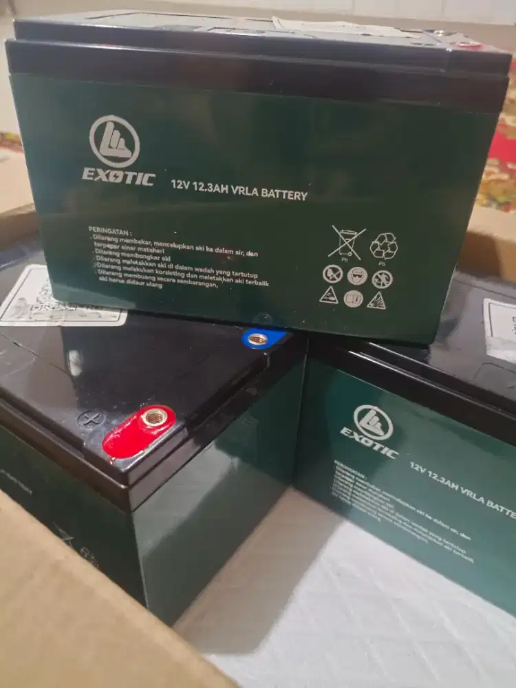 Batrei Aki Selis Exotic Ori
