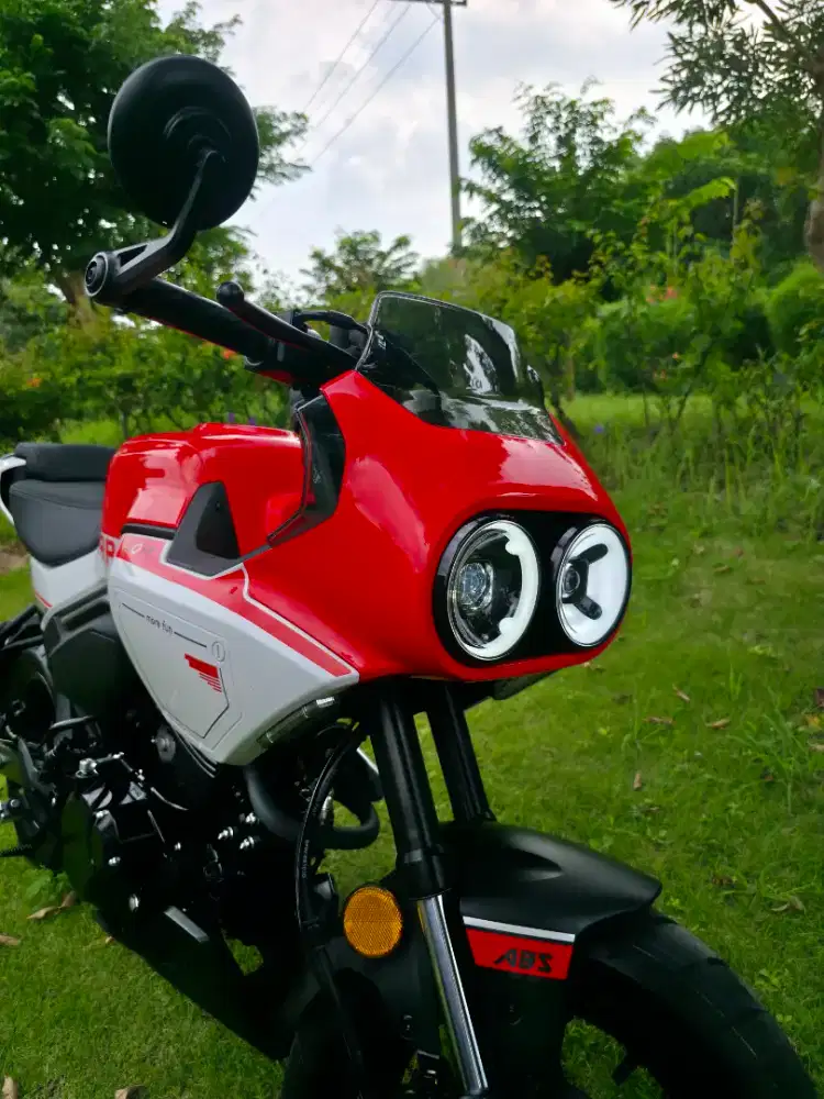 CF Moto Papio XO-1