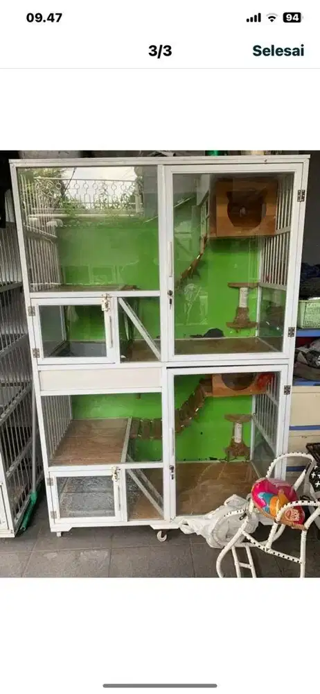Kandang kucing 2