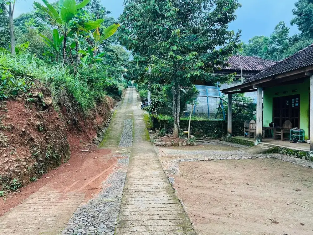 Kebun Durian 1651m2 300 Juta Kerjo Karanganyar