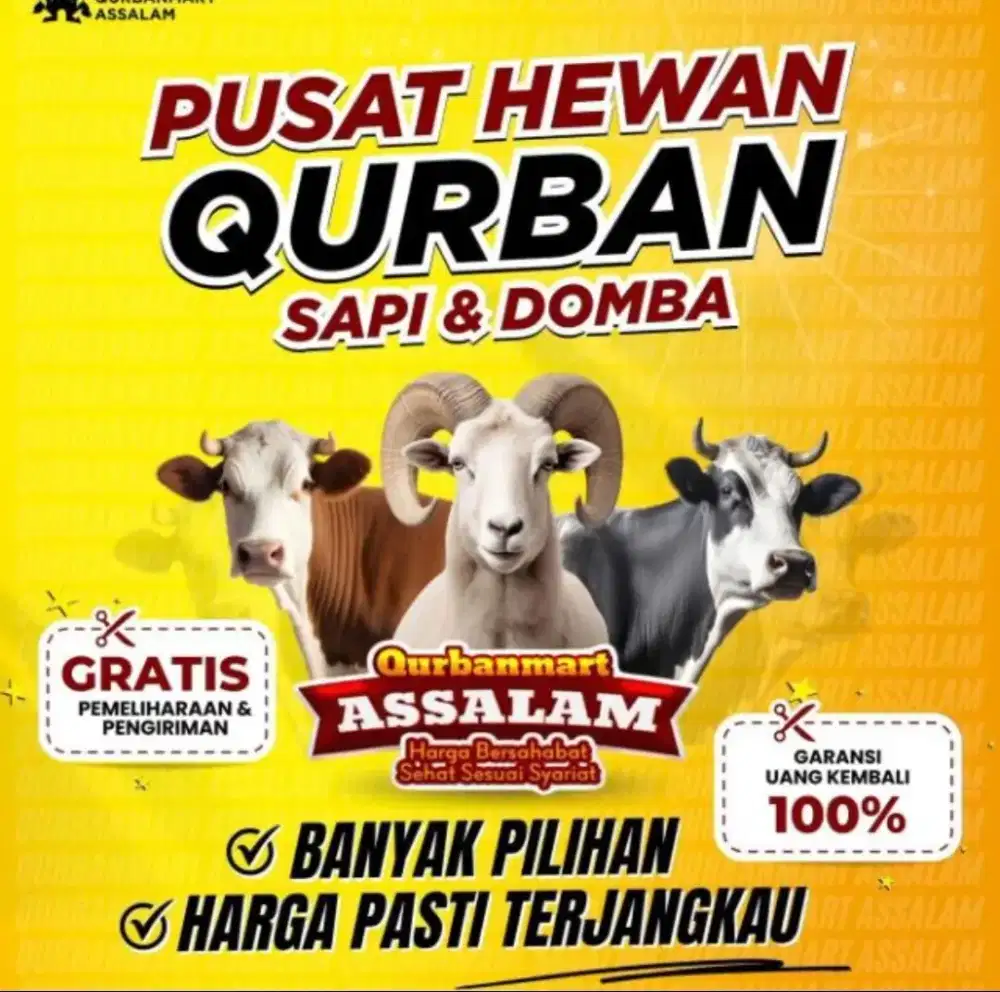 Hewan Qurban Murah