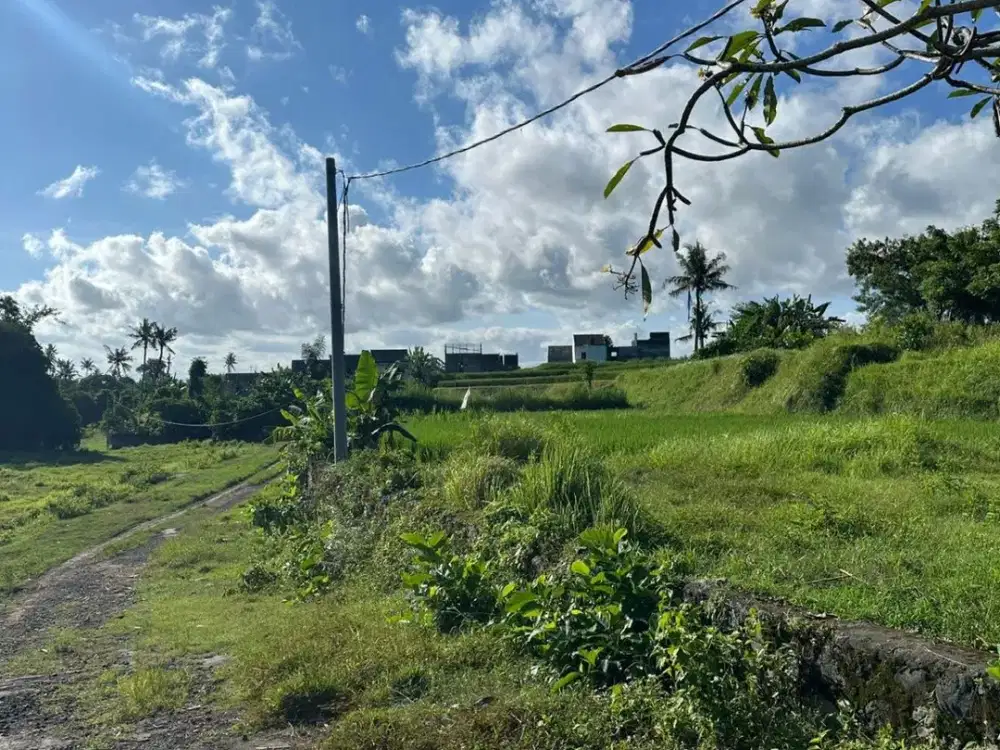 DIJUAL TANAH KOSONG DI JL. IDA BAGUS MANTRA - DENPASAR