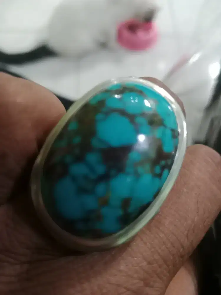 Persia lumayan gede