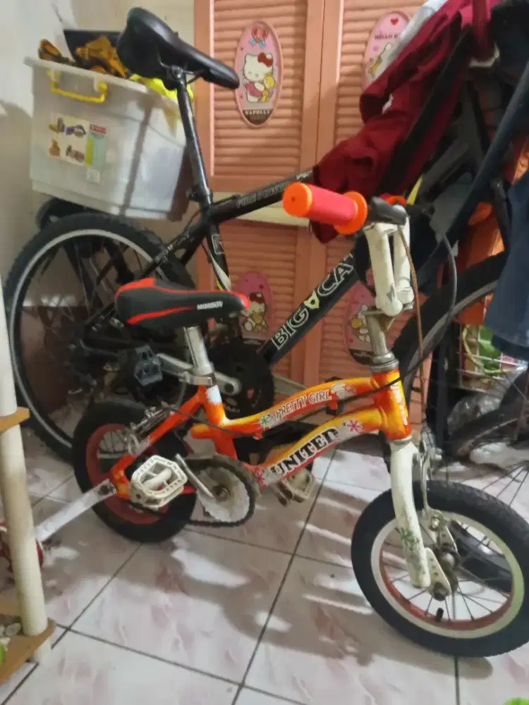 Sepeda anak alloy