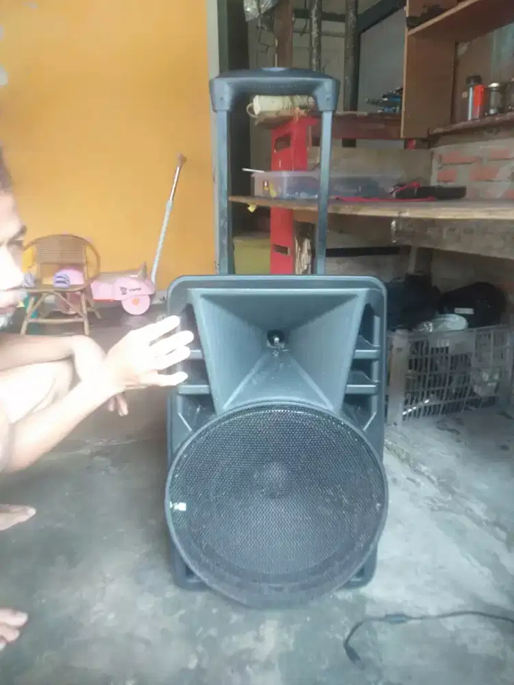 Speaker aiwa 12 inch